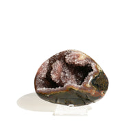 Amethyst Cluster in Violet