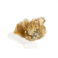 Gold Rutilated Quartz