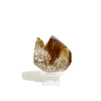Gold Rutilated in Smoky Quartz