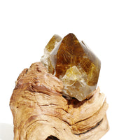 Gold Rutilated in Smoky Quartz
