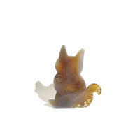 Agate Cat