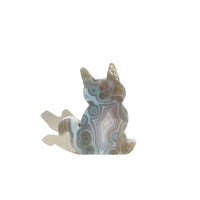 Agate Cat