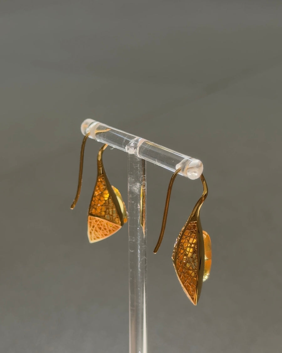 Amber Earring